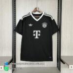 Bayern Munich 24/25. Versión fan